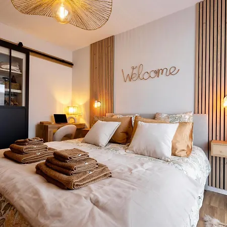 Sweet Dove Apartment Chambery Exterior photo